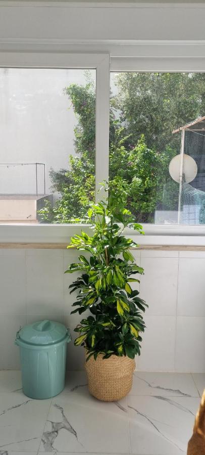 Canto Da Rocha Guesthouse 阿尔马达 外观 照片